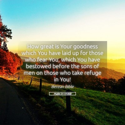 Picture 05 - Psalm 31:19 BSB - How great is Your goodness which You have laid up - Bible Verse Picture