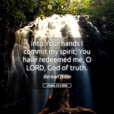 Picture 05 - Psalm 31:5 BSB - Into Your hands I commit my spirit; You have - Bible Verse Picture