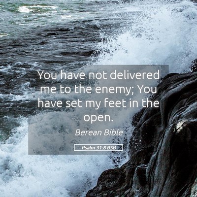 Picture 05 - Psalm 31:8 BSB - You have not delivered me to the enemy; You have - Bible Verse Picture