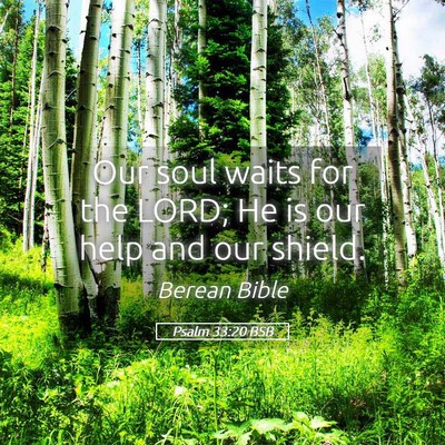 Picture 05 - Psalm 33:20 BSB - Our soul waits for the LORD; He is our help and - Bible Verse Picture
