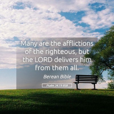 Picture 05 - Psalm 34:19 BSB - Many are the afflictions of the righteous, but - Bible Verse Picture
