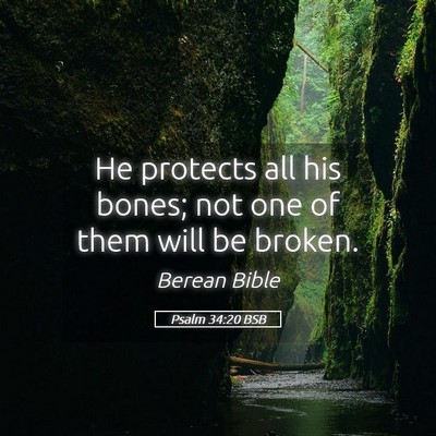 Picture 05 - Psalm 34:20 BSB - He protects all his bones; not one of them will - Bible Verse Picture