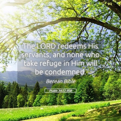 Picture 05 - Psalm 34:22 BSB - The LORD redeems His servants, and none who take - Bible Verse Picture