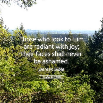 Picture 05 - Psalm 34:5 BSB - Those who look to Him are radiant with joy; their - Bible Verse Picture