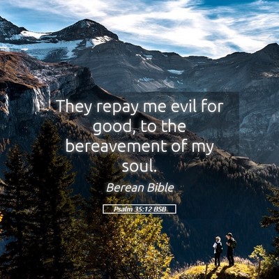 Picture 05 - Psalm 35:12 BSB - They repay me evil for good, to the bereavement - Bible Verse Picture