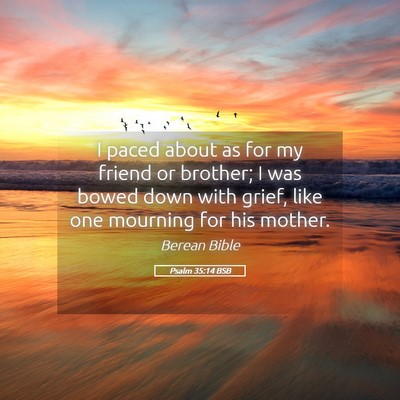 Picture 05 - Psalm 35:14 BSB - I paced about as for my friend or brother; I was - Bible Verse Picture