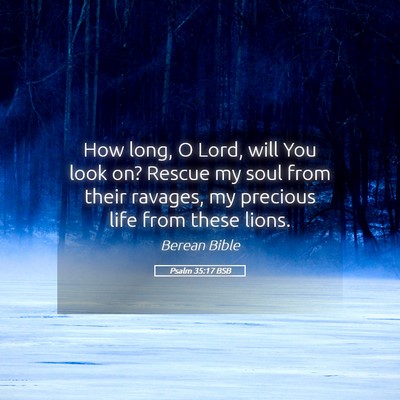 Picture 05 - Psalm 35:17 BSB - How long, O Lord, will You look on? Rescue my - Bible Verse Picture