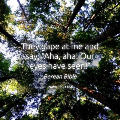 Picture 05 - Psalm 35:21 BSB - They gape at me and say, “Aha, aha! Our eyes - Bible Verse Picture