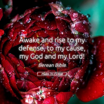 Picture 05 - Psalm 35:23 BSB - Awake and rise to my defense, to my cause, my God - Bible Verse Picture