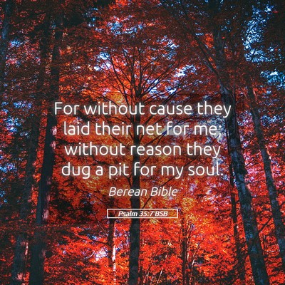 Picture 05 - Psalm 35:7 BSB - For without cause they laid their net for me; - Bible Verse Picture