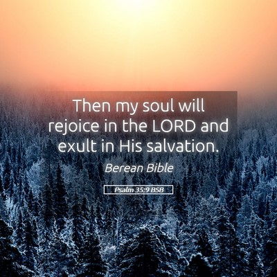 Picture 05 - Psalm 35:9 BSB - Then my soul will rejoice in the LORD and exult - Bible Verse Picture