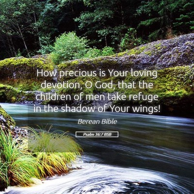 Picture 05 - Psalm 36:7 BSB - How precious is Your loving devotion, O God, that - Bible Verse Picture