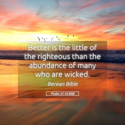 Picture 05 - Psalm 37:16 BSB - Better is the little of the righteous than the - Bible Verse Picture