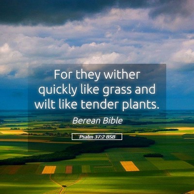 Picture 05 - Psalm 37:2 BSB - For they wither quickly like grass and wilt like - Bible Verse Picture