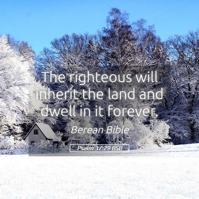 Picture 05 - Psalm 37:29 BSB - The righteous will inherit the land and dwell in - Bible Verse Picture