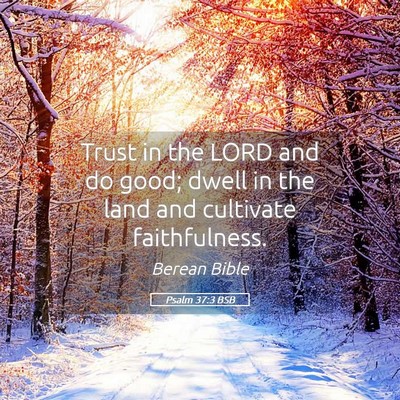 Picture 05 - Psalm 37:3 BSB - Trust in the LORD and do good; dwell in the land - Bible Verse Picture