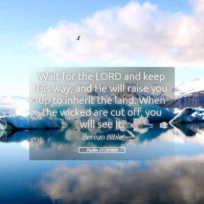 Picture 05 - Psalm 37:34 BSB - Wait for the LORD and keep His way, and He will - Bible Verse Picture