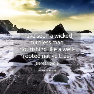Picture 05 - Psalm 37:35 BSB - I have seen a wicked, ruthless man flourishing - Bible Verse Picture