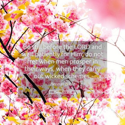 Picture 05 - Psalm 37:7 BSB - Be still before the LORD and wait patiently for - Bible Verse Picture