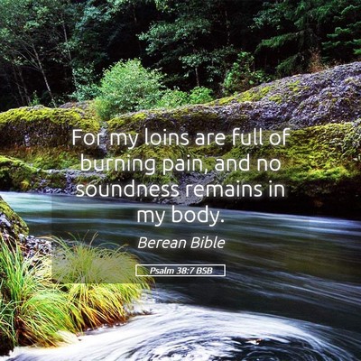 Picture 05 - Psalm 38:7 BSB - For my loins are full of burning pain, and no - Bible Verse Picture
