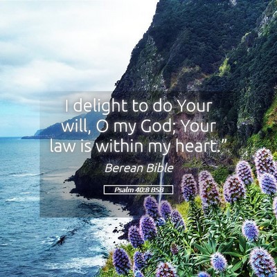 Picture 05 - Psalm 40:8 BSB - I delight to do Your will, O my God; Your law is - Bible Verse Picture