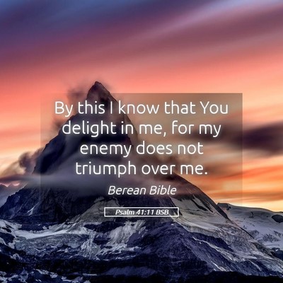 Picture 05 - Psalm 41:11 BSB - By this I know that You delight in me, for my - Bible Verse Picture