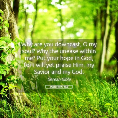 Picture 05 - Psalm 42:11 BSB - Why are you downcast, O my soul? Why the unease - Bible Verse Picture