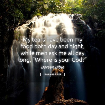 Picture 05 - Psalm 42:3 BSB - My tears have been my food both day and night, - Bible Verse Picture