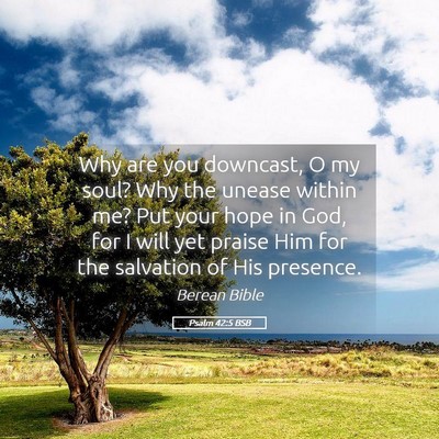 Picture 05 - Psalm 42:5 BSB - Why are you downcast, O my soul? Why the unease - Bible Verse Picture
