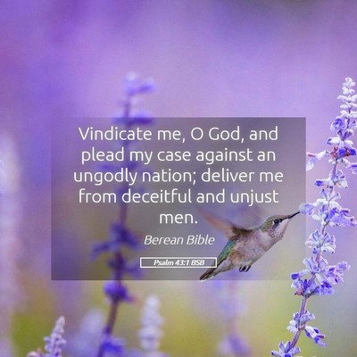 Picture 05 - Psalm 43:1 BSB - Vindicate me, O God, and plead my case against an - Bible Verse Picture