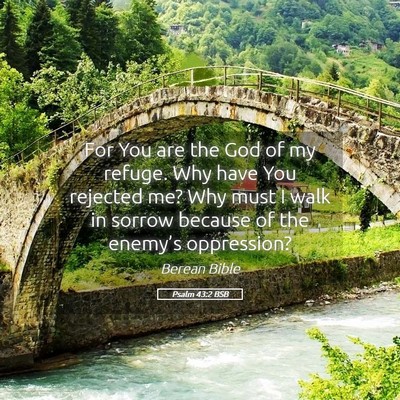 Picture 05 - Psalm 43:2 BSB - For You are the God of my refuge. Why have You - Bible Verse Picture