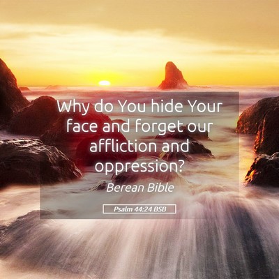 Picture 05 - Psalm 44:24 BSB - Why do You hide Your face and forget our - Bible Verse Picture