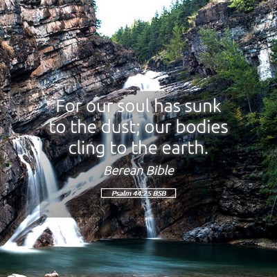 Picture 05 - Psalm 44:25 BSB - For our soul has sunk to the dust; our bodies - Bible Verse Picture