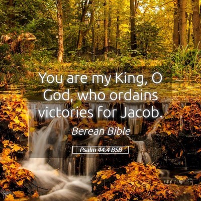 Picture 05 - Psalm 44:4 BSB - You are my King, O God, who ordains victories for - Bible Verse Picture