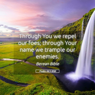 Picture 05 - Psalm 44:5 BSB - Through You we repel our foes; through Your name - Bible Verse Picture