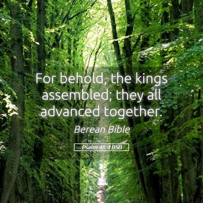 Picture 05 - Psalm 48:4 BSB - For behold, the kings assembled; they all - Bible Verse Picture