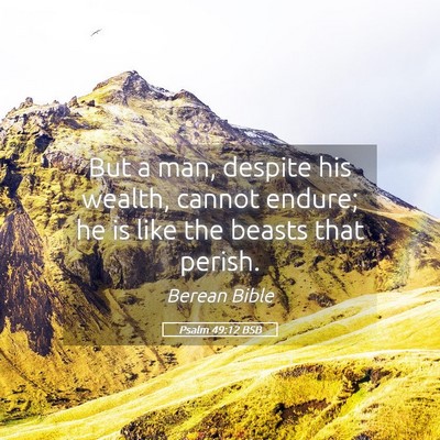 Picture 05 - Psalm 49:12 BSB - But a man, despite his wealth, cannot endure; he - Bible Verse Picture