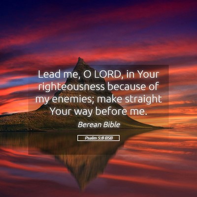 Picture 05 - Psalm 5:8 BSB - Lead me, O LORD, in Your righteousness because of - Bible Verse Picture