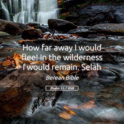 Picture 05 - Psalm 55:7 BSB - How far away I would flee! In the wilderness I - Bible Verse Picture