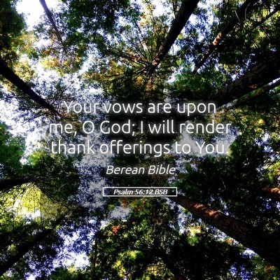 Picture 05 - Psalm 56:12 BSB - Your vows are upon me, O God; I will render thank - Bible Verse Picture