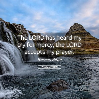 Picture 05 - Psalm 6:9 BSB - The LORD has heard my cry for mercy; the LORD - Bible Verse Picture