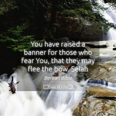 Picture 05 - Psalm 60:4 BSB - You have raised a banner for those who fear You, - Bible Verse Picture