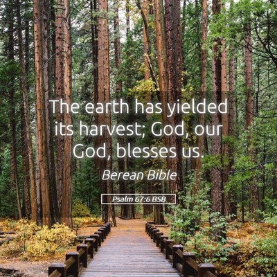 Picture 05 - Psalm 67:6 BSB - The earth has yielded its harvest; God, our God, - Bible Verse Picture