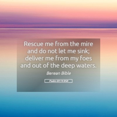 Picture 05 - Psalm 69:14 BSB - Rescue me from the mire and do not let me sink; - Bible Verse Picture