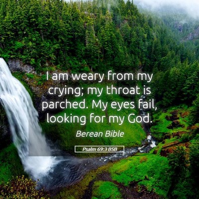 Picture 05 - Psalm 69:3 BSB - I am weary from my crying; my throat is parched. - Bible Verse Picture