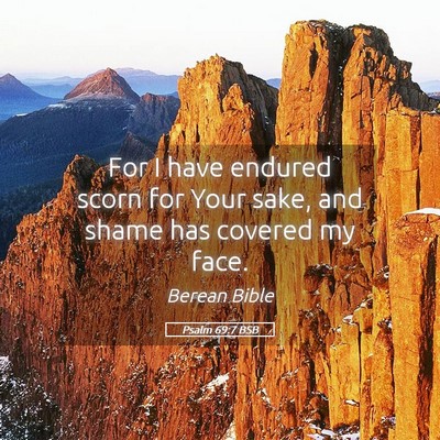 Picture 05 - Psalm 69:7 BSB - For I have endured scorn for Your sake, and shame - Bible Verse Picture