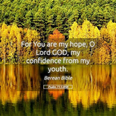 Picture 05 - Psalm 71:5 BSB - For You are my hope, O Lord GOD, my confidence - Bible Verse Picture