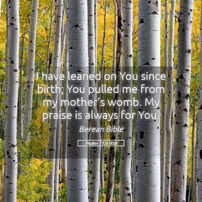 Picture 05 - Psalm 71:6 BSB - I have leaned on You since birth; You pulled me - Bible Verse Picture