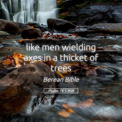 Picture 05 - Psalm 74:5 BSB - like men wielding axes in a thicket of - Bible Verse Picture