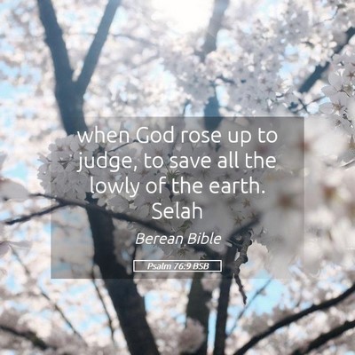 Picture 05 - Psalm 76:9 BSB - when God rose up to judge, to save all the lowly - Bible Verse Picture